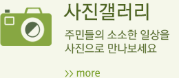 사진갤러리